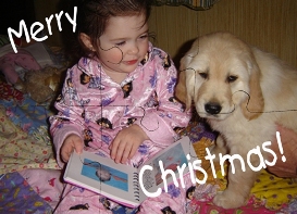 Puzzle Design 402 Holiday - Winter Holiday Greeting